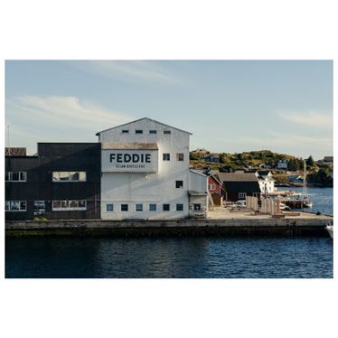 Feddie Ocean