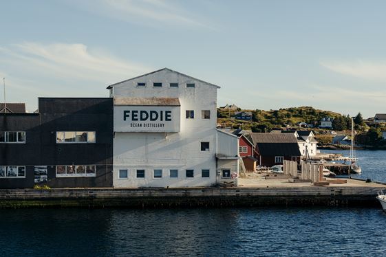Feddie Ocean