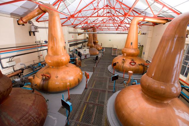 Five generations of Glenfarclas’s whiskies.